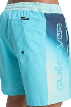Quiksilver Ba&ntilde;ador corto logo lateral^Hombre Baño