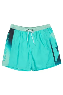 Quiksilver Ba&ntilde;ador corto logo lateral^Hombre Baño