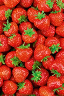 The Body Shop Body Butter de Fresa^Mujer Cosmética