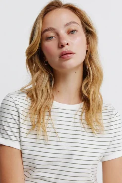 Springfield Camiseta b&aacute;sica entallada^Mujer Camisetas|Basic Bar