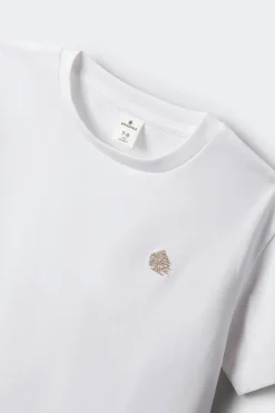 Springfield Kids Camiseta manga corta b&aacute;sica ni&ntilde;o^Niños Camisetas