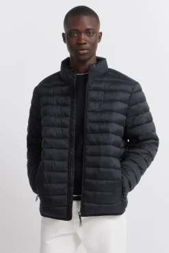 Springfield Chaqueta acolchada^Hombre Cazadoras