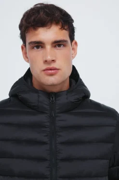 Springfield Chaqueta acolchada capucha^Hombre Cazadoras|Abrigos