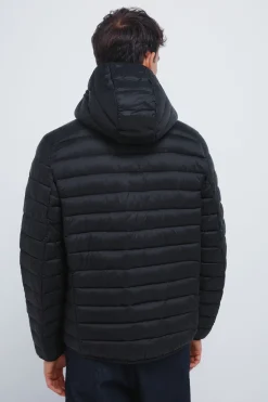 Springfield Chaqueta acolchada capucha^Hombre Cazadoras|Abrigos