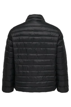 Only Carmakoma Chaqueta acolchada cremallera talla grande^Mujer Abrigos