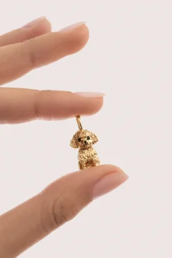 Singularu Charm Caniche Toy Ba&ntilde;o Oro^Mujer Bisutería