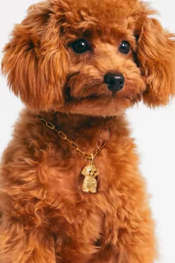Singularu Charm Caniche Toy Ba&ntilde;o Oro^Mujer Bisutería