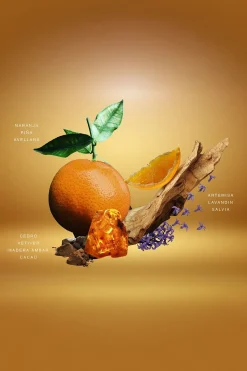 Springfield GOLDEN ATTITUDE^Hombre Fragancias