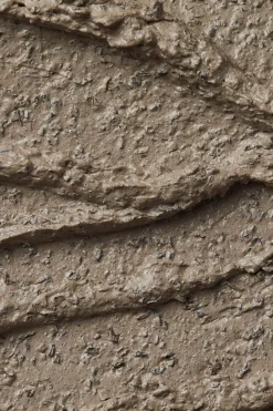 The Body Shop Mascarilla Cuidado Experto Purificante de Carb&oacute;n del Himalaya^Mujer Cosmética