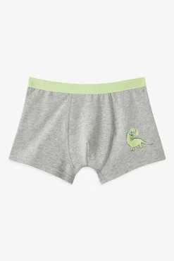 Penti Pack 3 boxers dino rayas^Niños Ropa Interior