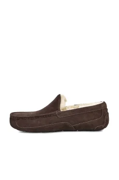 Ugg Slipper cerrada suede Ascot. Marca^Hombre Zapatillas De Casa