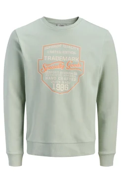 JJ REBEL Sudadera b&aacute;sica manga larga^Hombre Sudaderas