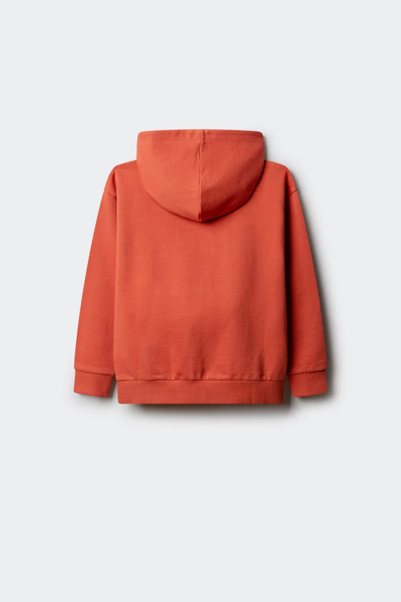 Springfield Kids Sudadera bici tricolor ni&ntilde;o^Niños Sudaderas