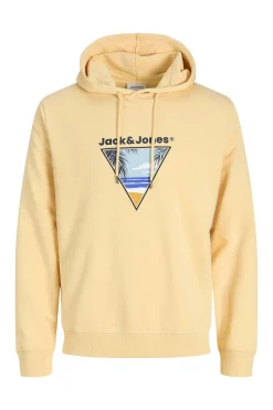 Jack & Jones Sudadera capucha algod&oacute;n suave^Hombre Sudaderas