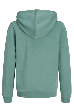 Jack & Jones Junior Sudadera con capucha^Niños Sudaderas