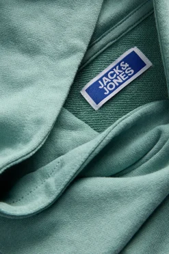 Jack & Jones Junior Sudadera con capucha^Niños Sudaderas