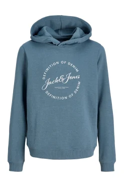 Jack & Jones Junior Sudadera con capucha felpa^Niños Sudaderas