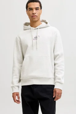 Jack & Jones Sudadera con capucha regular fit^Hombre Sudaderas