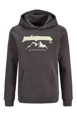 Jack & Jones Junior Sudadera con capucha y estamapdo^Niños Sudaderas