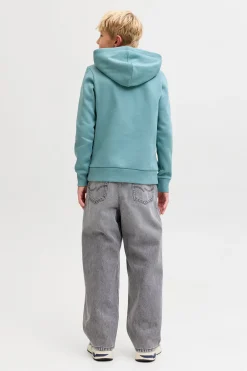 Jack & Jones Junior Sudadera con capucha y logo^Niños Sudaderas