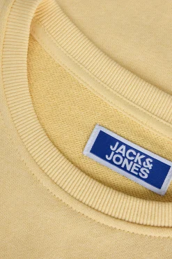 Jack & Jones Junior Sudadera logo^Niños Sudaderas