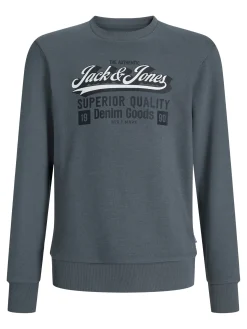 Jack & Jones Junior Sudadera logo grande^Niños Sudaderas