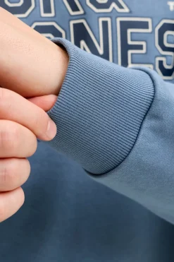 Jack & Jones Sudadera logo grande^Hombre Sudaderas