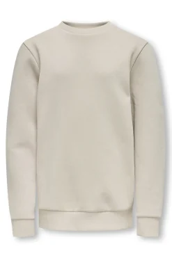 Only & Sons Junior Sudadera ni&ntilde;o^Niños Sudaderas