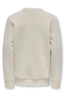 Only & Sons Junior Sudadera ni&ntilde;o^Niños Sudaderas