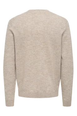 Only & Sons Sudadera regular fit^Hombre Sudaderas