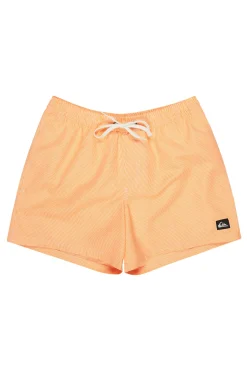 Quiksilver Traje de ba&ntilde;o logo^Hombre Baño