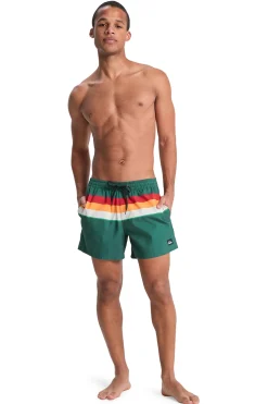Quiksilver Traje de baño logo^Hombre Baño