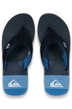 Quiksilver Traje de ba&ntilde;o logo^Hombre Baño