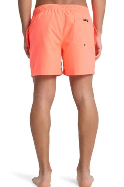 Quiksilver Traje de ba&ntilde;o logo^Hombre Baño